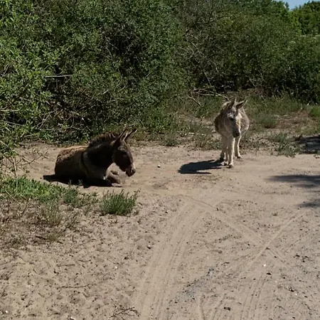 Fou D'eau 5e Verdieping Etage Lejlighed Koksijde